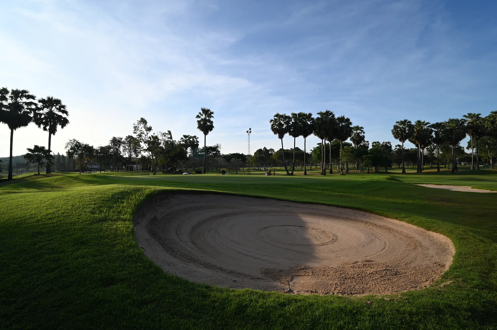 Sunlit golf course fairway with a bunker and palm trees