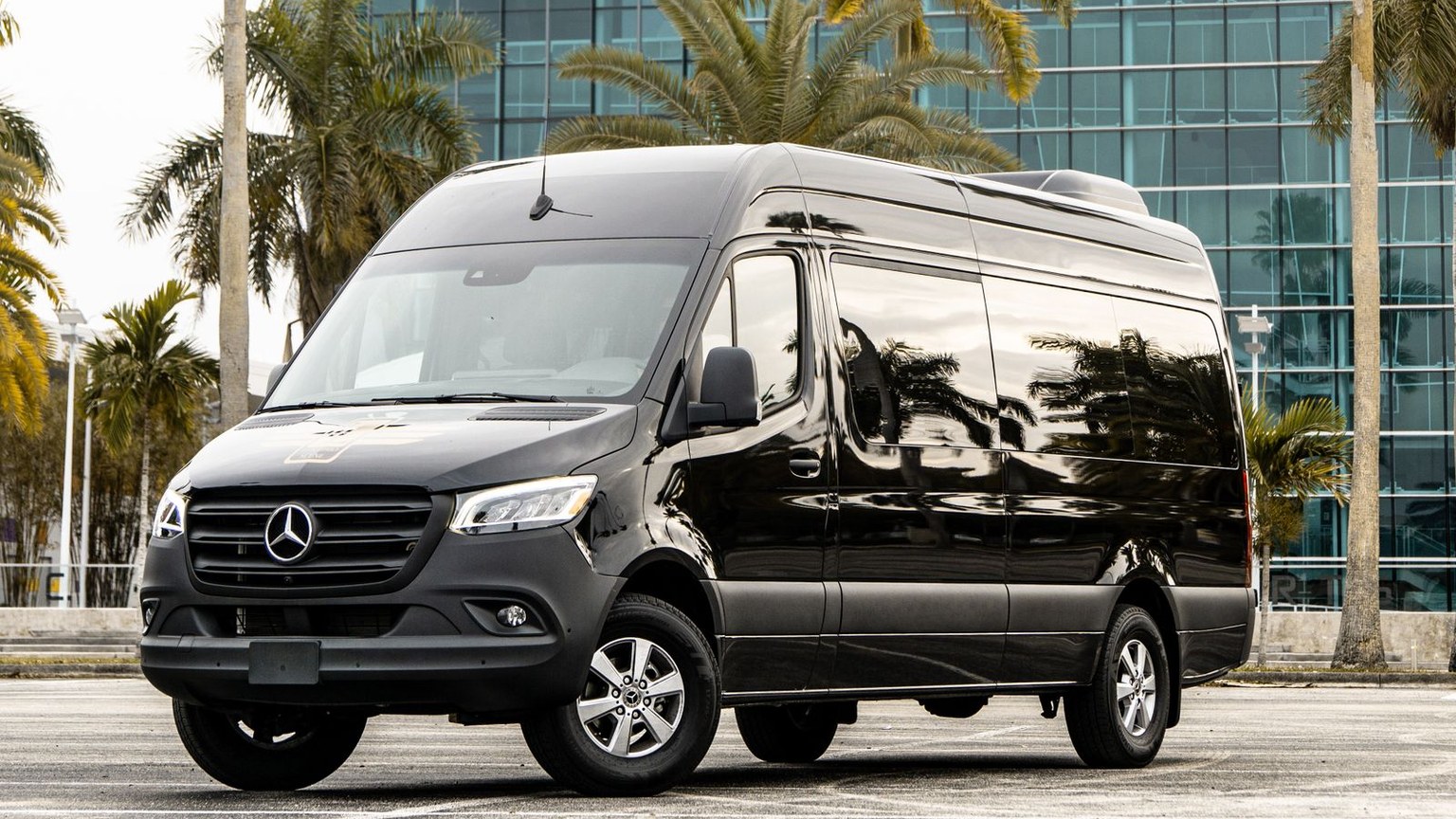 Black high-roof passenger van parked among palm trees