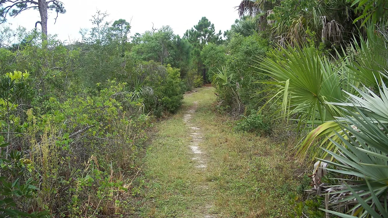 Hobe Sound FL NWR06