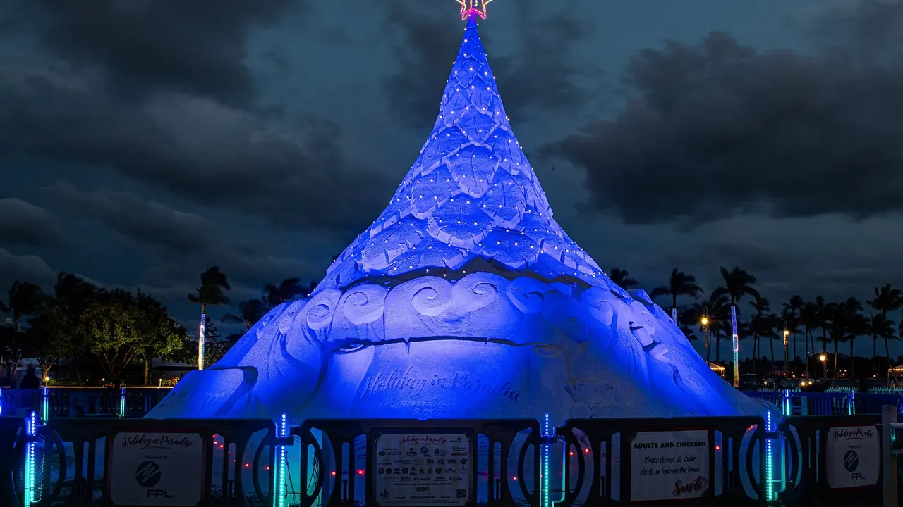 The Sandi Tree holiday light display in West Palm Beach at night