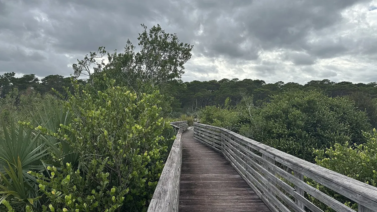 Jupiter Ridge Natural Area
